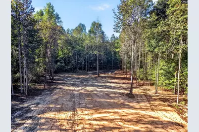 255 Riley Road, Saint Matthews, SC 29135 - Photo 29