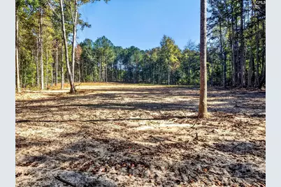 255 Riley Road, Saint Matthews, SC 29135 - Photo 33