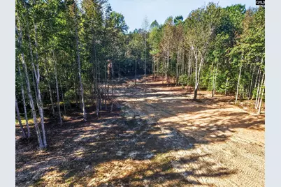 255 Riley Road, Saint Matthews, SC 29135 - Photo 37