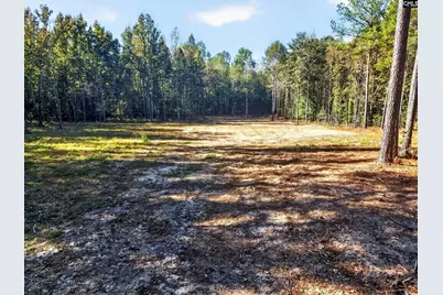 255 Riley Road, Saint Matthews, SC 29135 - Photo 35