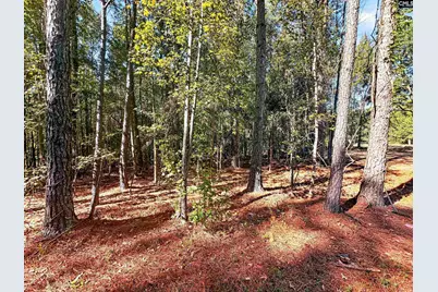 255 Riley Road, Saint Matthews, SC 29135 - Photo 27
