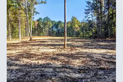 255 Riley Road, Saint Matthews, SC 29135 - Photo 19