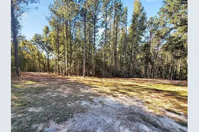 255 Riley Road, Saint Matthews, SC 29135 - Photo 17