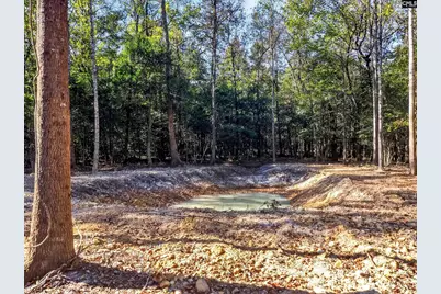 255 Riley Road, Saint Matthews, SC 29135 - Photo 25