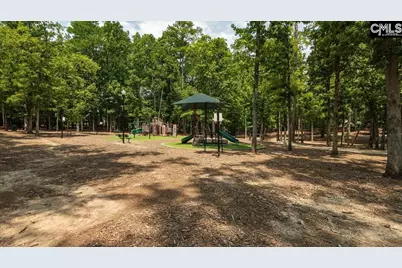 227 Engineer Lane, Irmo, SC 29063 - Photo 31