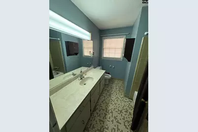 336 Saint Albans Road, Irmo, SC 29063 - Photo 15