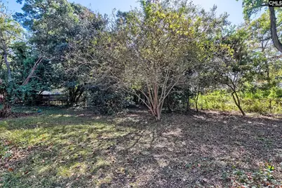 815 Lafayette Avenue, Cayce, SC 29033 - Photo 9
