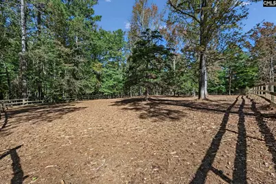 1333 Syrup Mill Road, Blythewood, SC 29016 - Photo 57