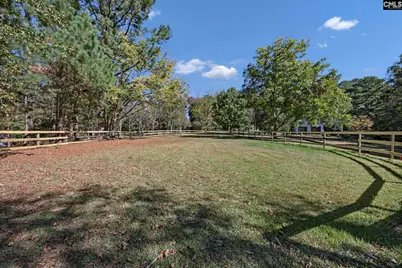1333 Syrup Mill Road, Blythewood, SC 29016 - Photo 51