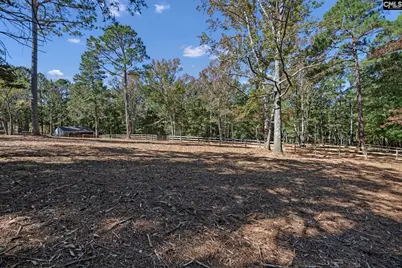 1333 Syrup Mill Road, Blythewood, SC 29016 - Photo 59