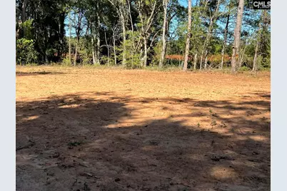 31 Old Heritage Place, Saint Matthews, SC 29135 - Photo 5