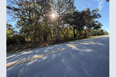 1626 Porter Road, Cassatt, SC 29032 - Photo 3