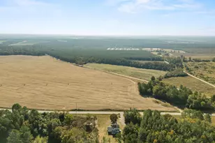521 Water Tank Rd, Pelion, SC 29123 - Photo 5