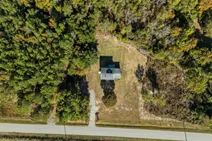 521 Water Tank Rd, Pelion, SC 29123 - Photo 3