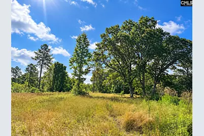316 Ennis Road, Bowman, SC 29018 - Photo 3