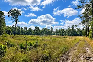 316 Ennis Rd, Bowman, SC 29018 - Photo 1
