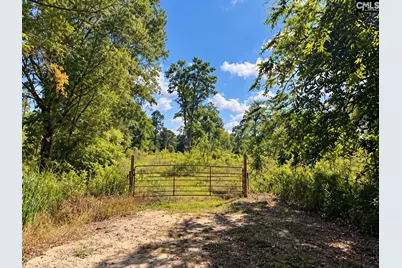 316 Ennis Road, Bowman, SC 29018 - Photo 5