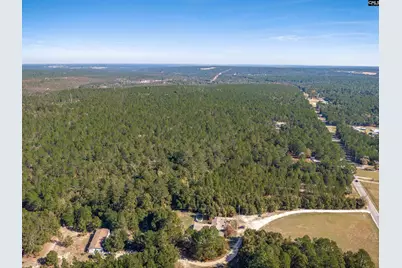 882 Crystal Springs Drive, Pelion, SC 29213 - Photo 11