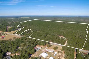 882 Crystal Springs Dr, Pelion, SC 29213 - Photo 1