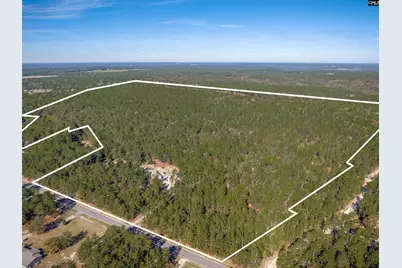 882 Crystal Springs Drive, Pelion, SC 29213 - Photo 3
