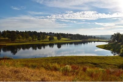 Lot 43 Blue Roan Court - Photo 1
