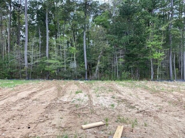 563 Abigail St, Moncks Corner SC  29461 exterior