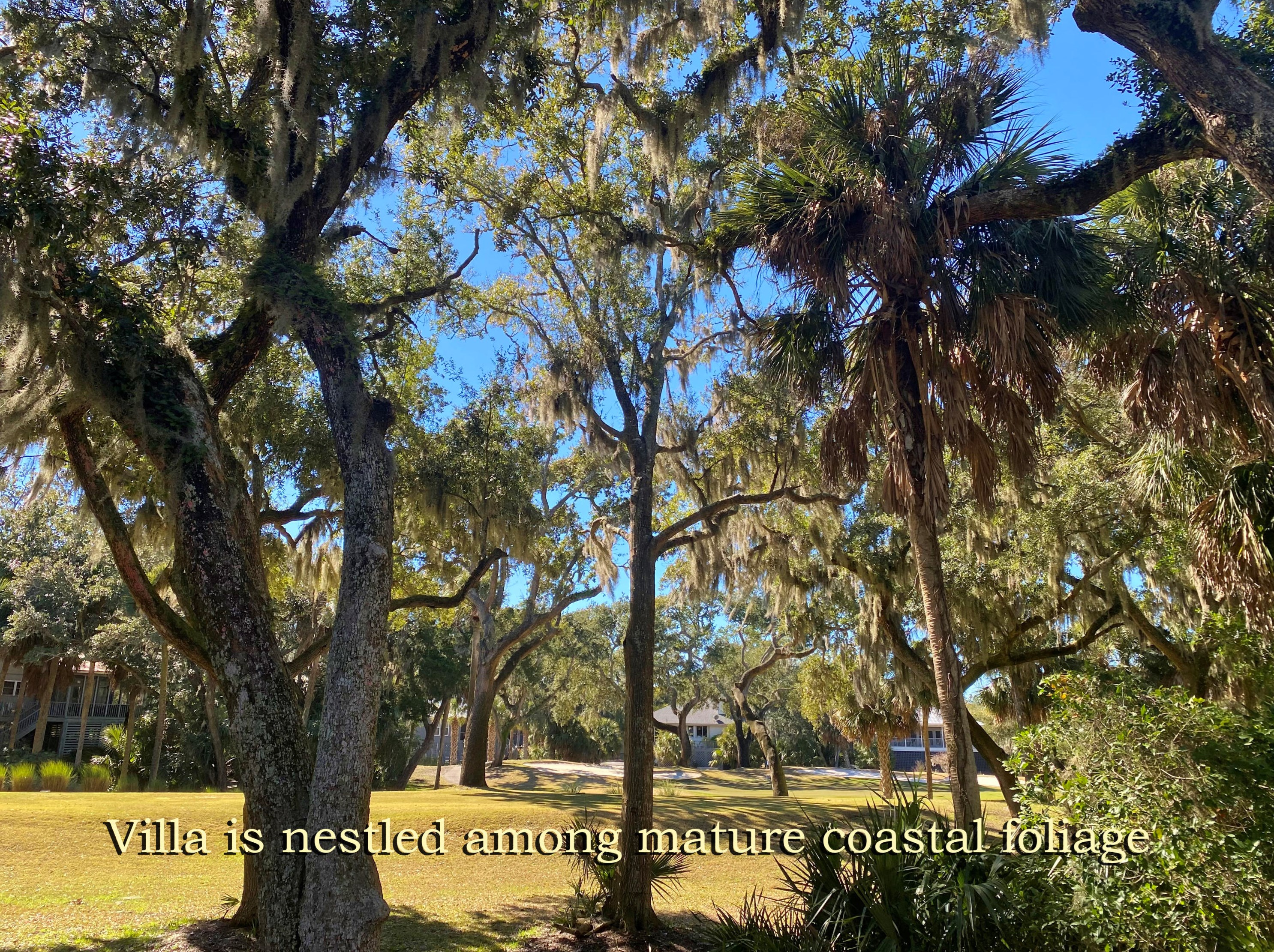 327 Sea Cloud Cir, Edisto SC  29438-3605 exterior