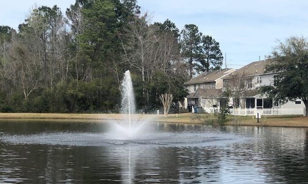 102 Pine Bluff Dr, Summerville SC  29483-8685 exterior
