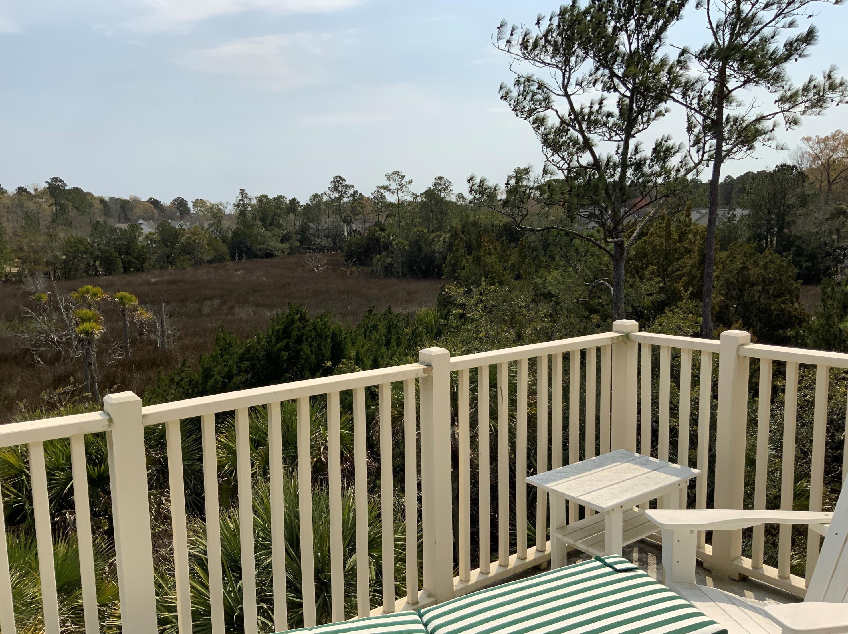 160 Palm Cove Way, Mount Pleasant SC  29466-8160 exterior