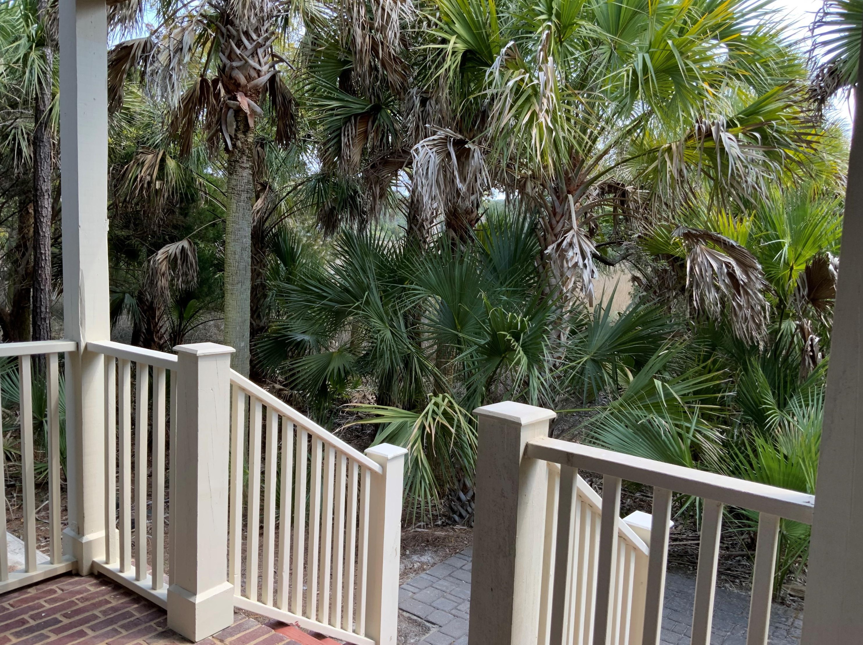 160 Palm Cove Way, Mount Pleasant SC  29466-8160 exterior