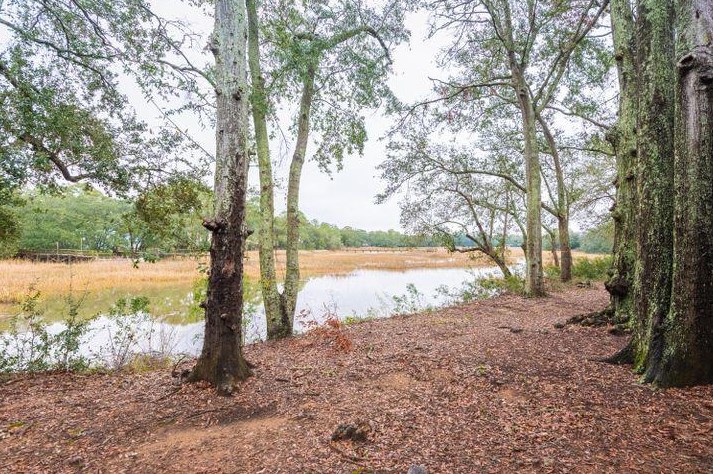 1402 Camp Rd, Charleston SC  29412-3732 exterior