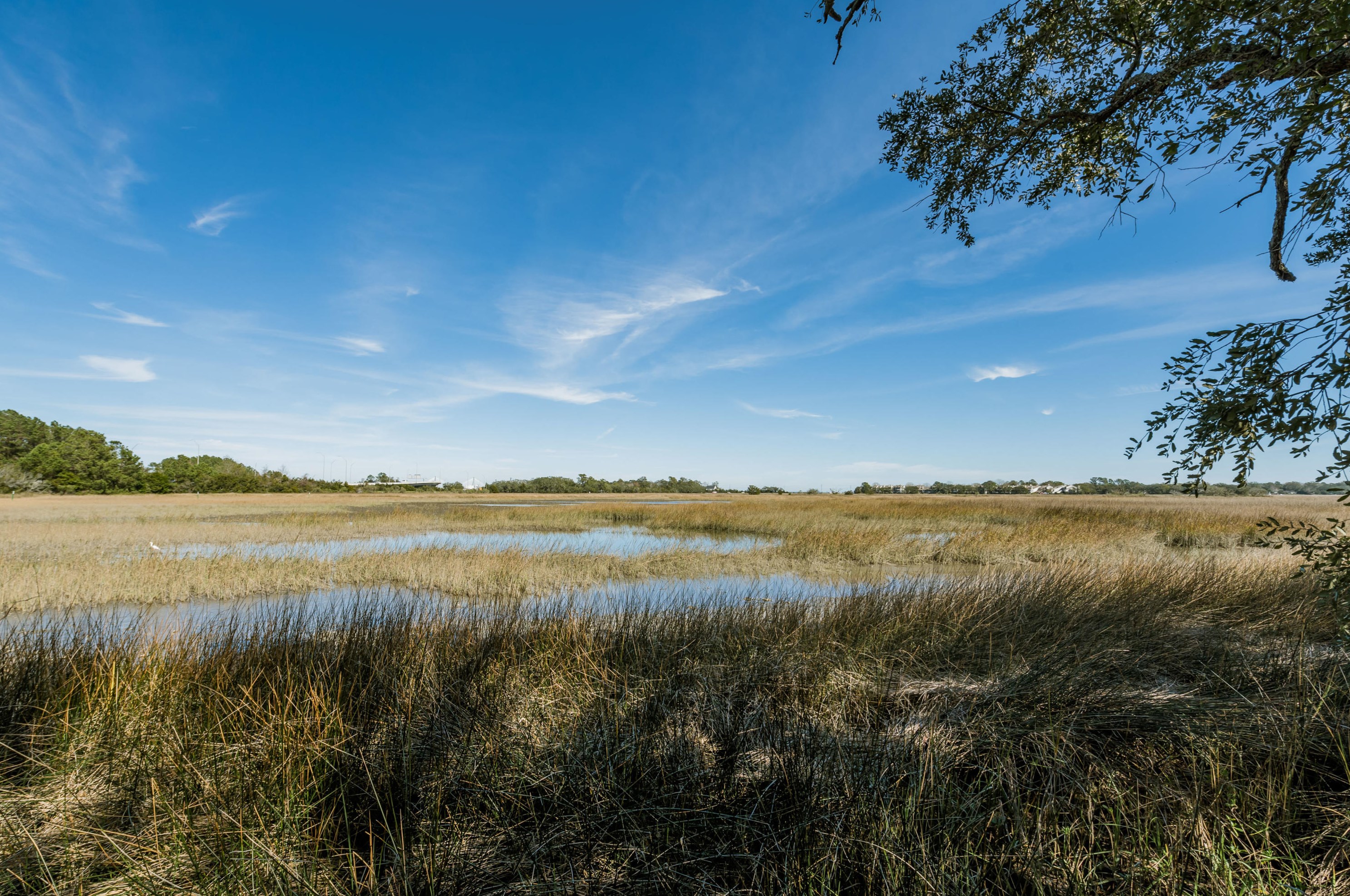 700 Daniel Ellis Dr, Charleston SC  12308-3034 exterior