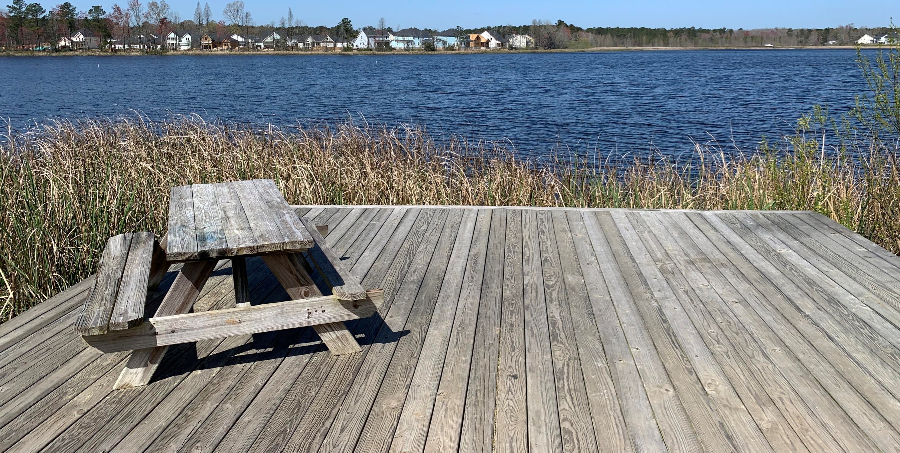 133 Yorkshire Dr, Moncks Corner SC  29461 exterior