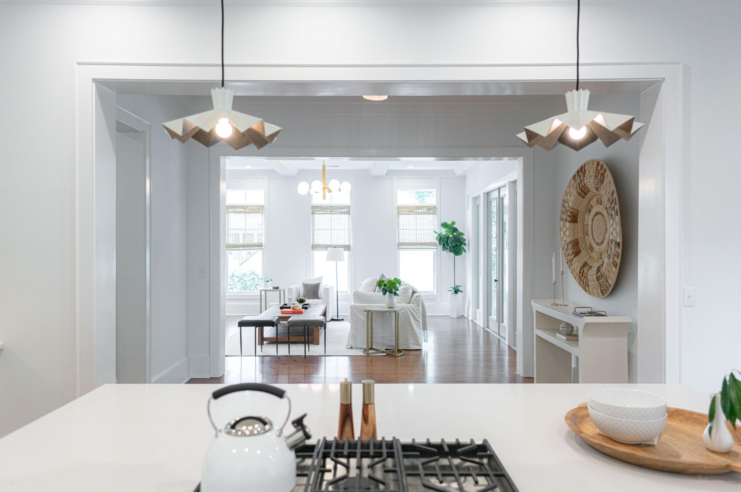 2431 Settlers St, Charleston SC  29492-8374 exterior