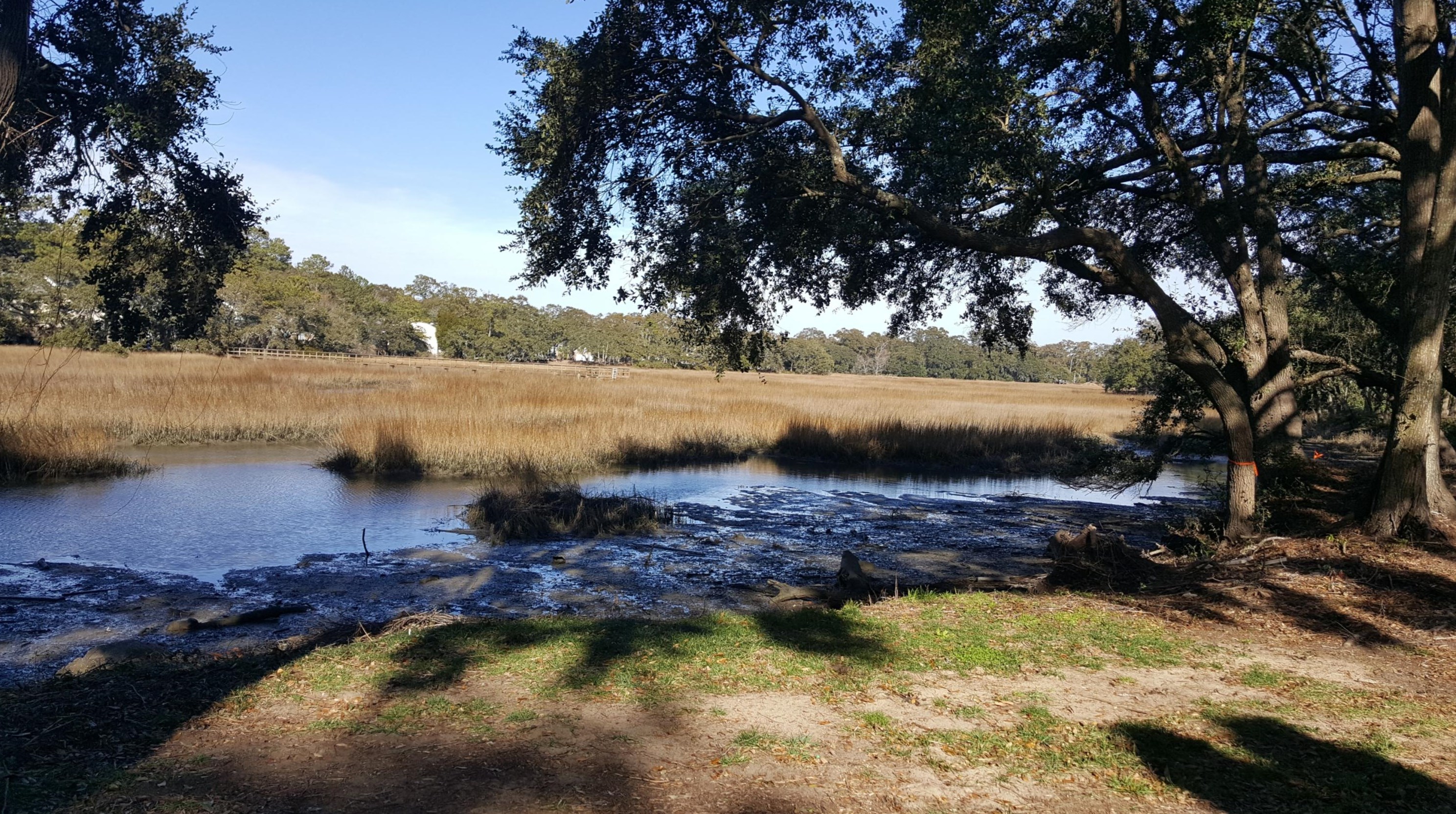 1402 Camp Rd, Charleston SC  29412-3732 exterior