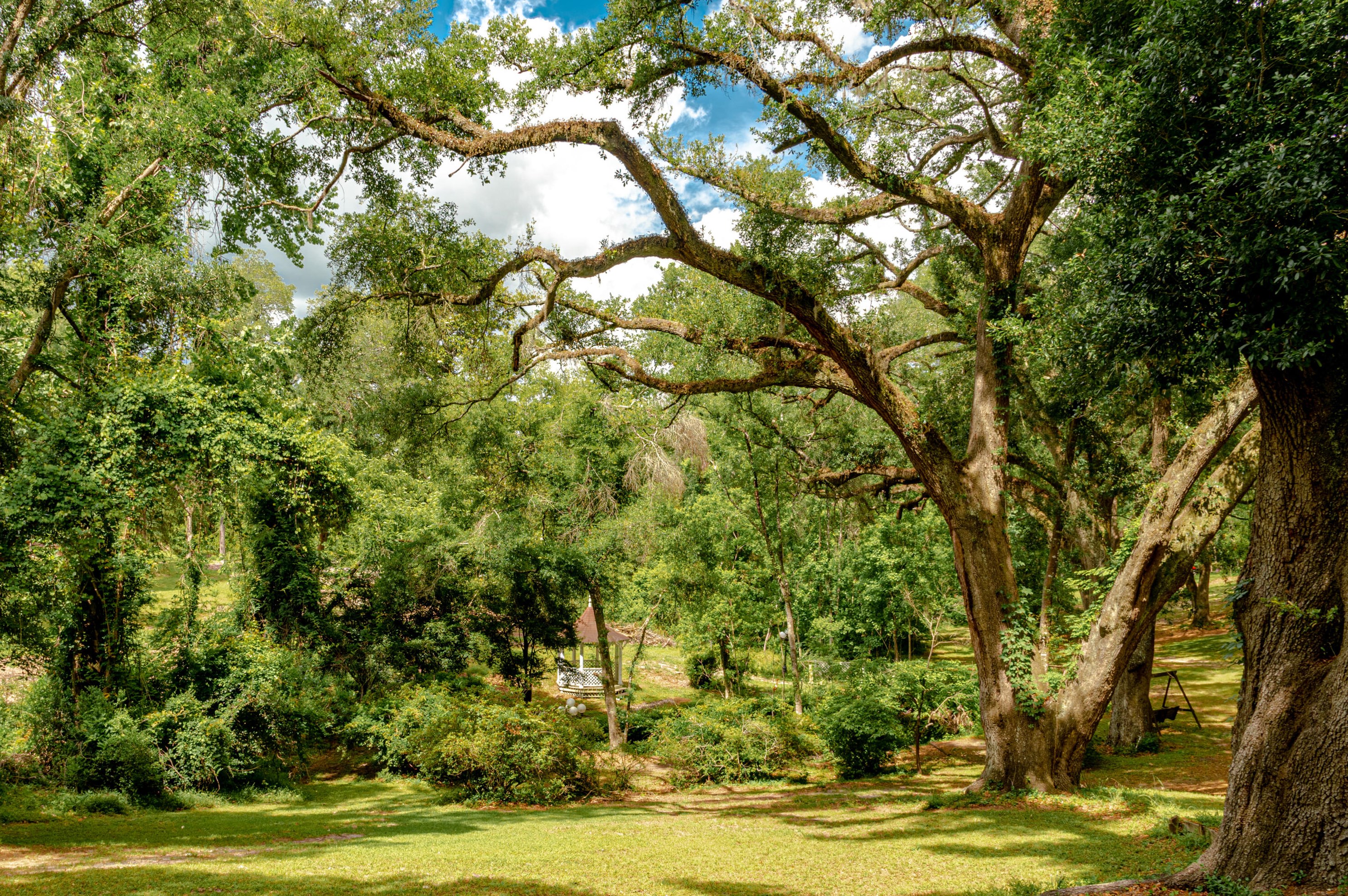 203 Witsell St, Walterboro SC  29488-3050 exterior