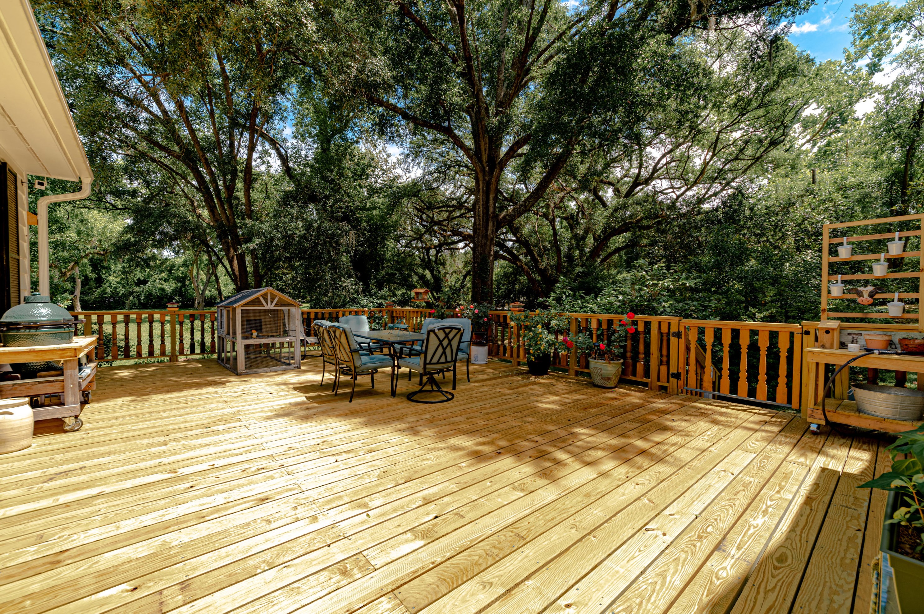 203 Witsell St, Walterboro SC  29488-3050 exterior