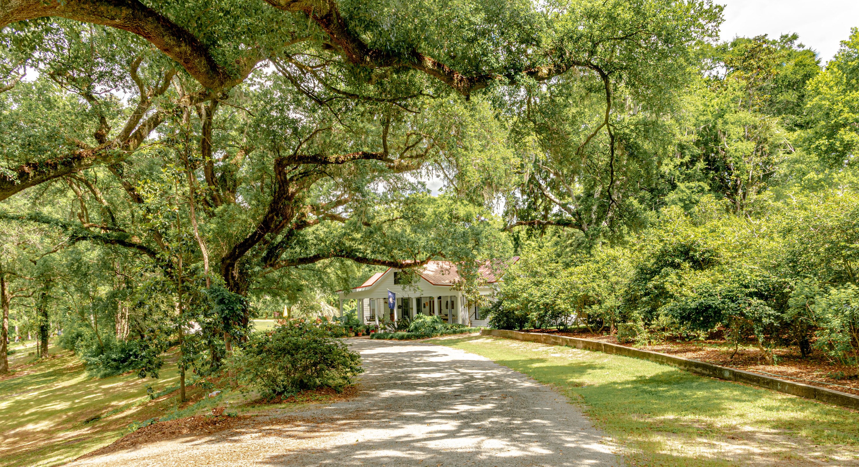 203 Witsell St, Walterboro SC  29488-3050 exterior