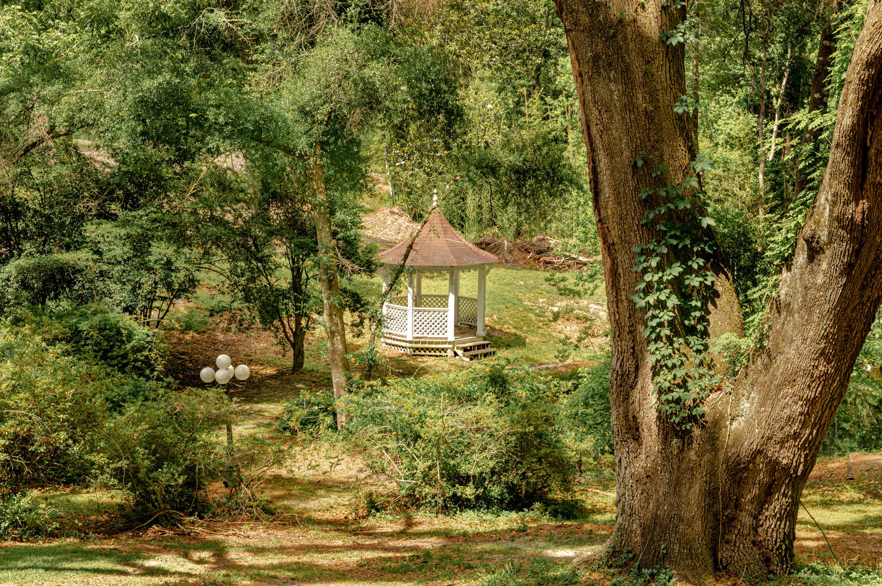 203 Witsell St, Walterboro SC  29488-3050 exterior