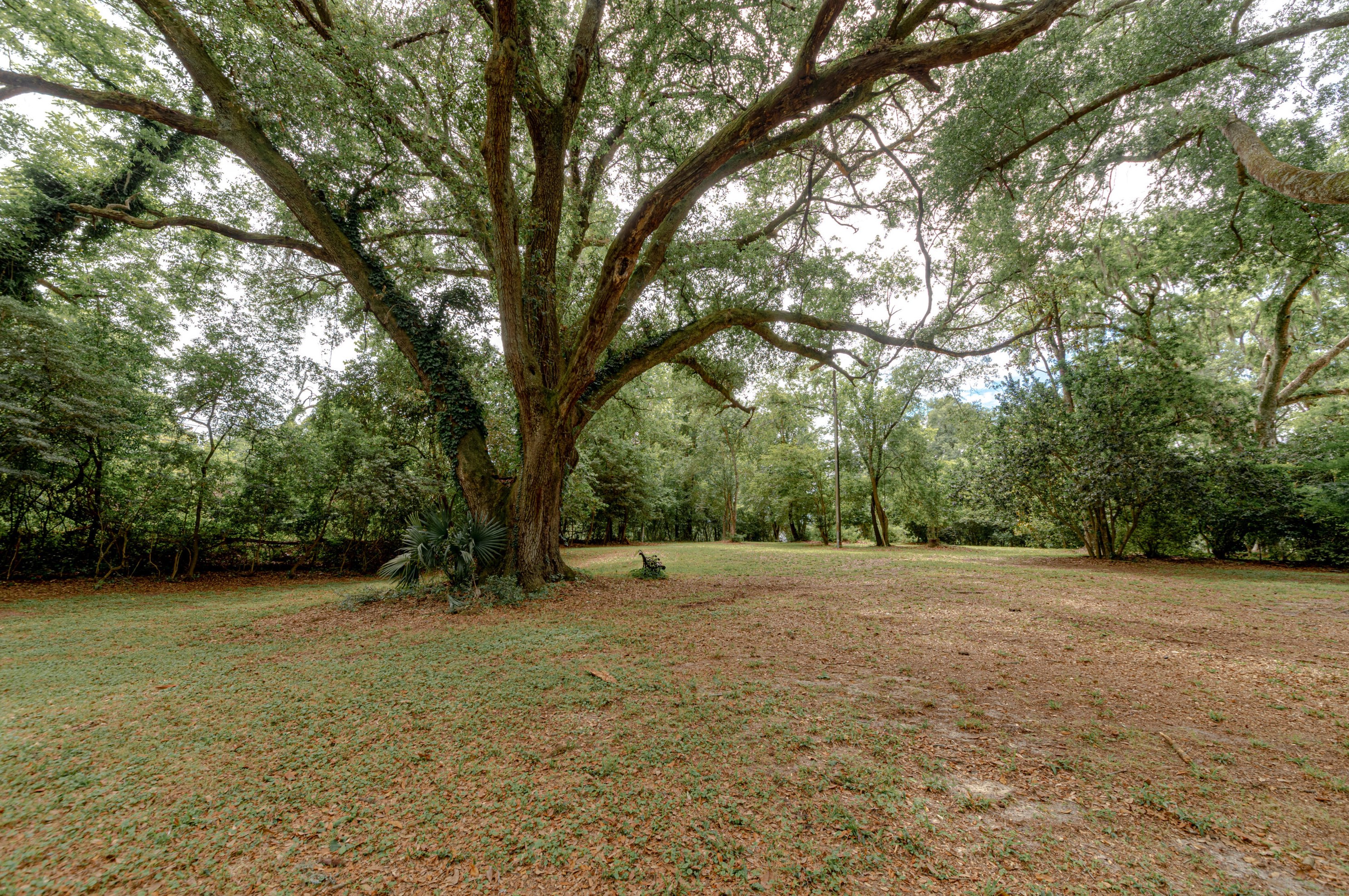 203 Witsell St, Walterboro SC  29488-3050 exterior