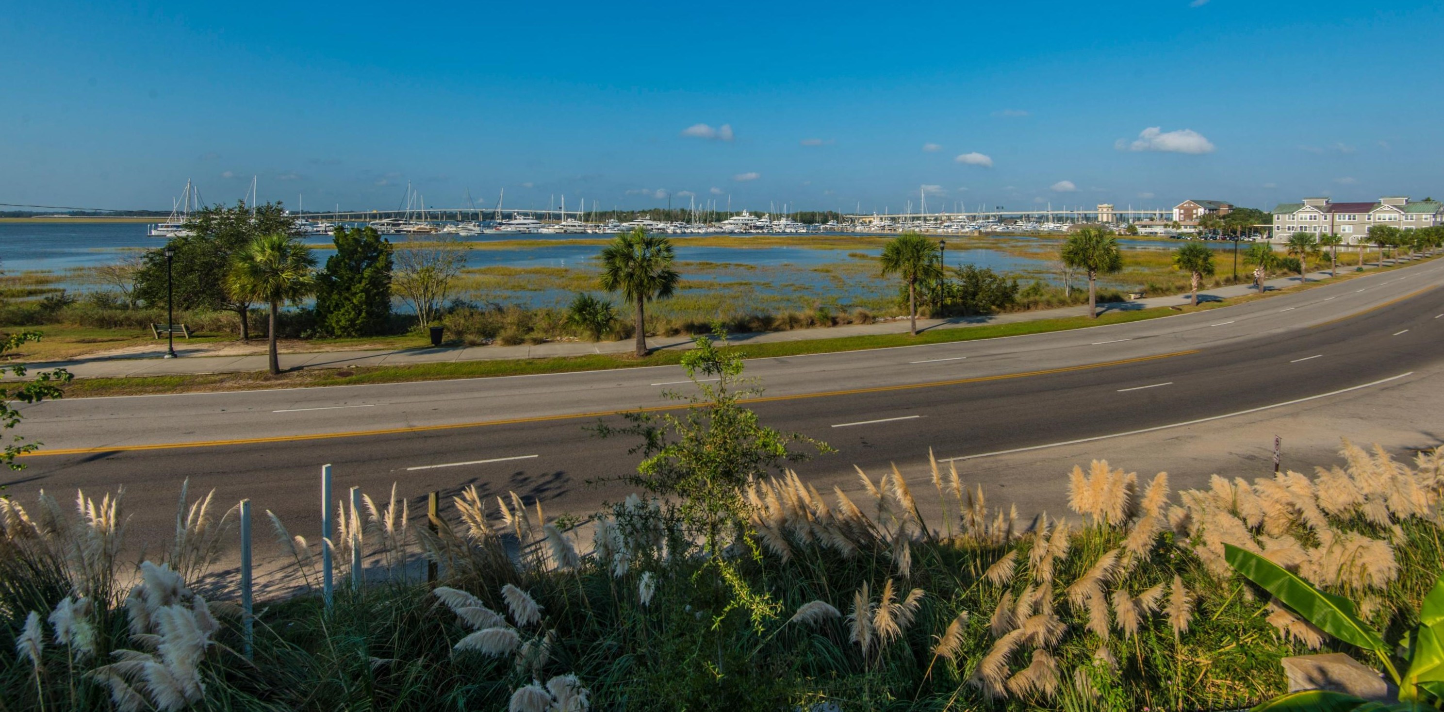 218 Wentworth St, Charleston SC 29401-1737 exterior