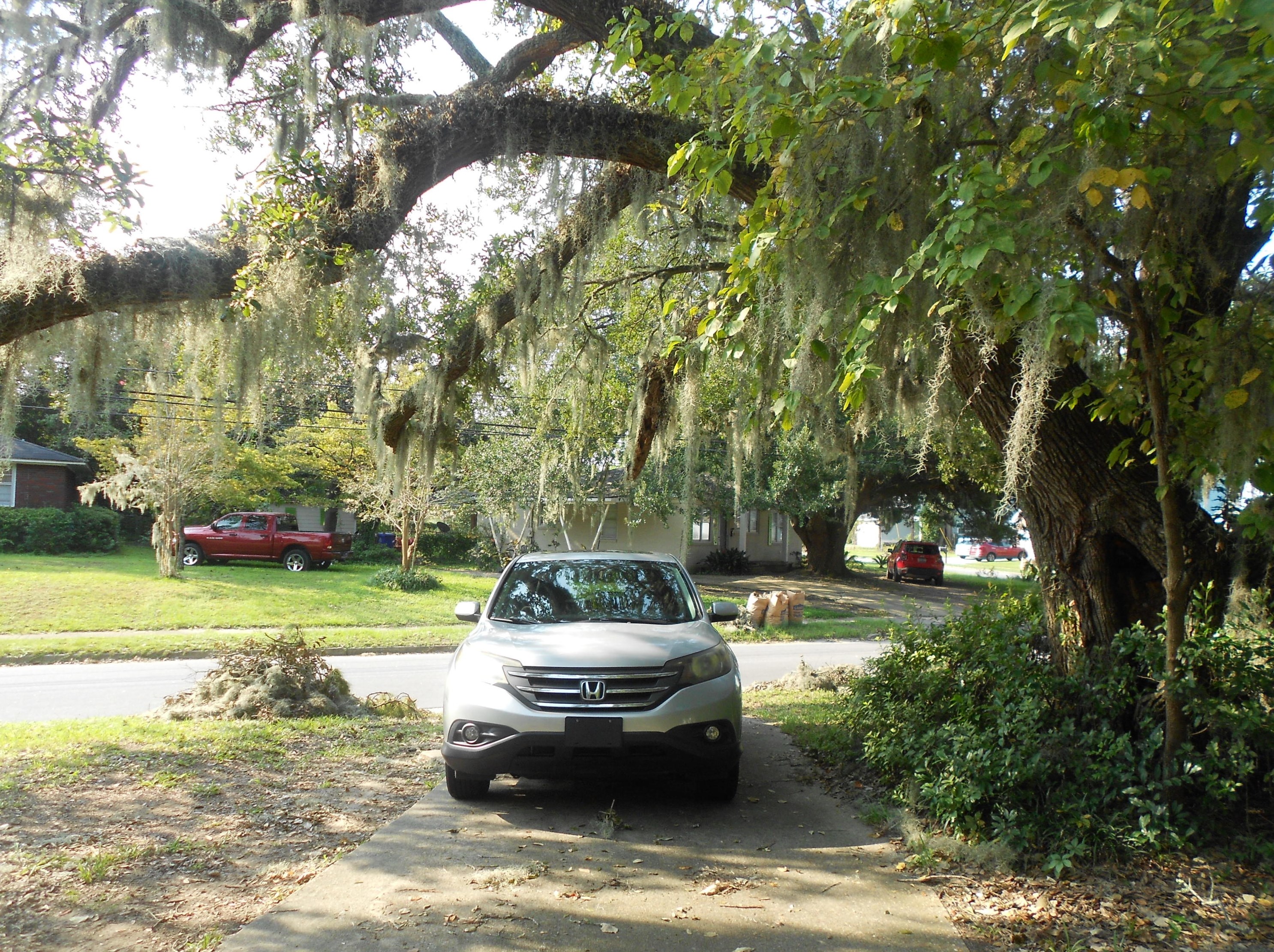 5102 Princeton St, Charleston SC  29405-4112 exterior