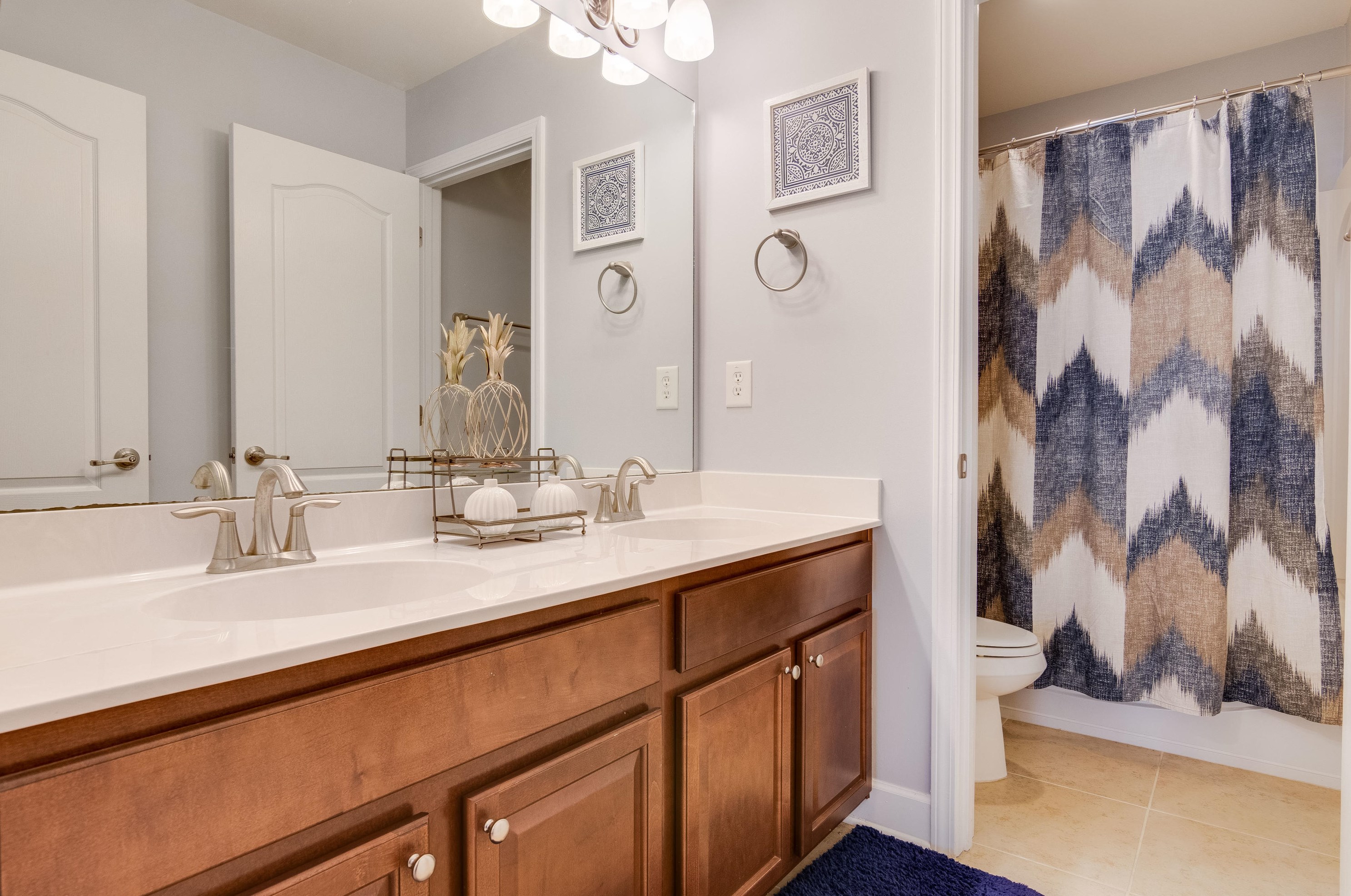 113 Blackwater Way, Moncks Corner SC  29461-6483 exterior