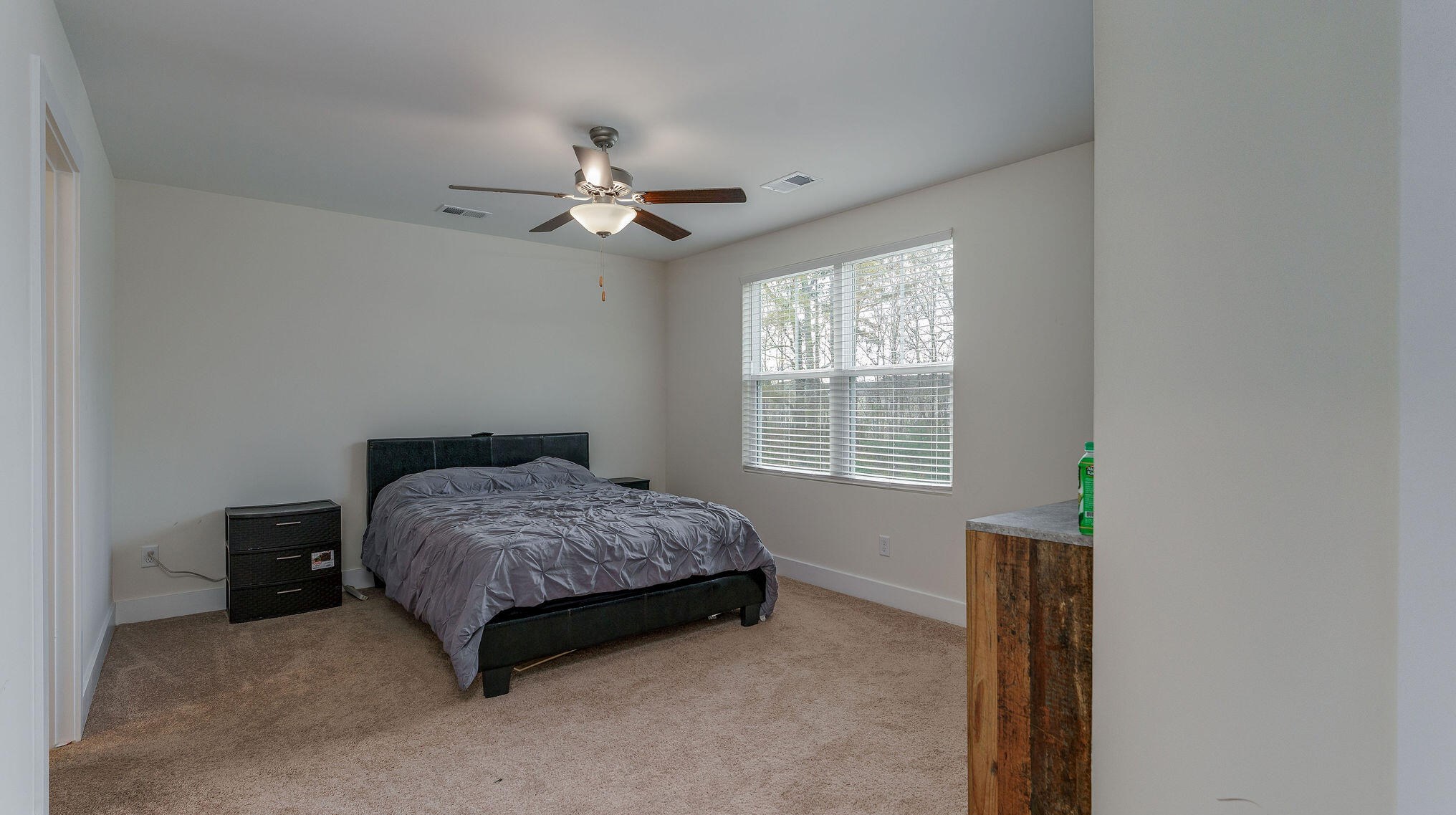 8206 Antler Dr, Charleston SC  29406-9847 exterior