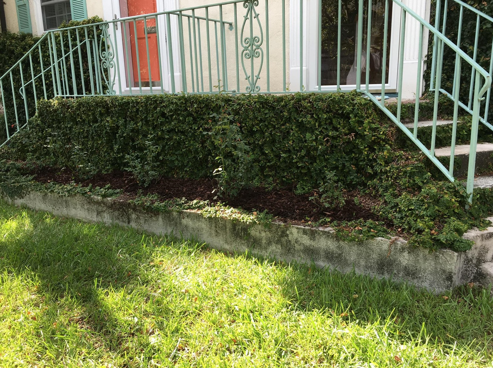 208 Wentworth St, Charleston SC  29401-1252 exterior