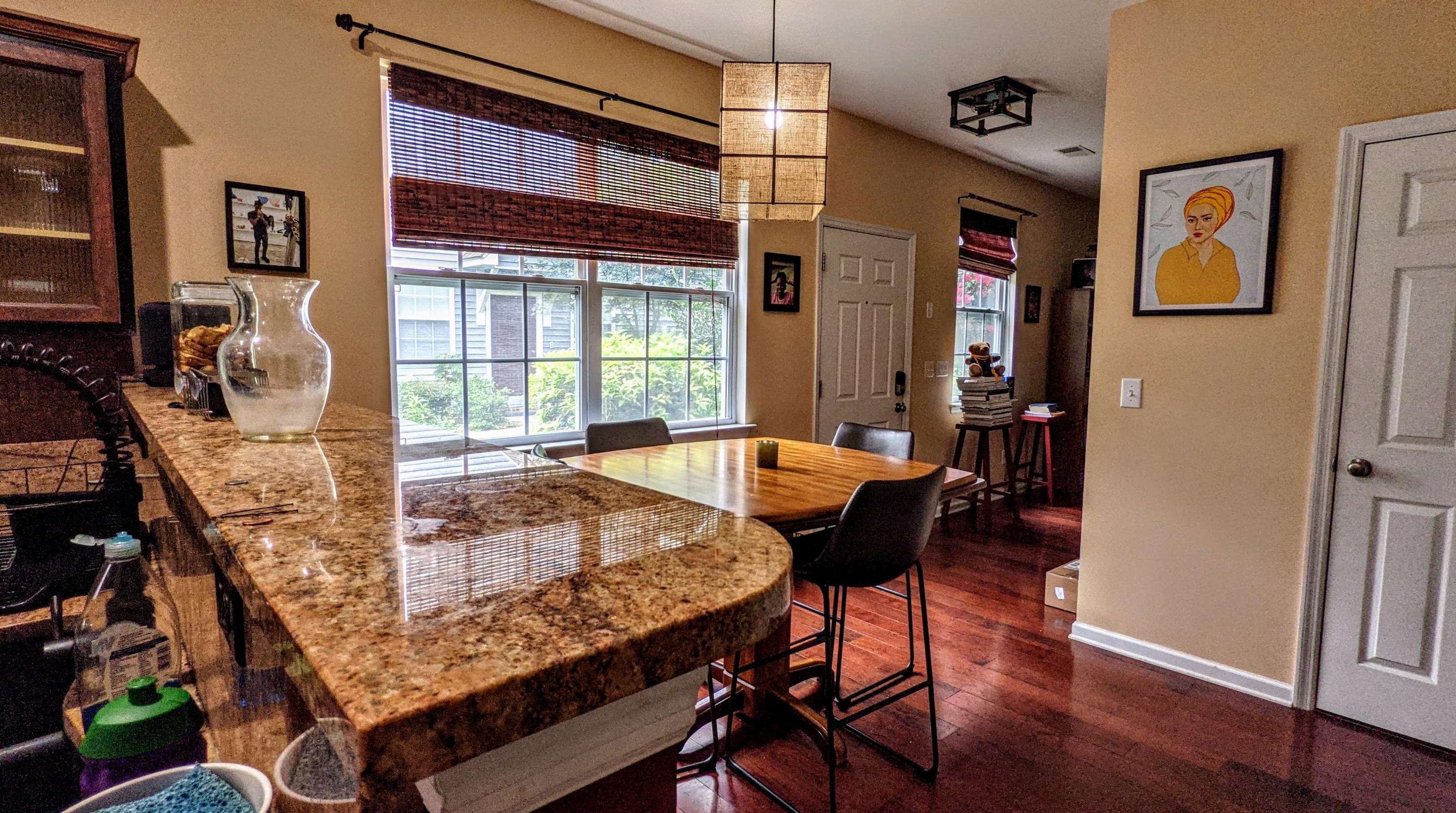 135 Dorothy Dr, Charleston SC  29414-9198 exterior