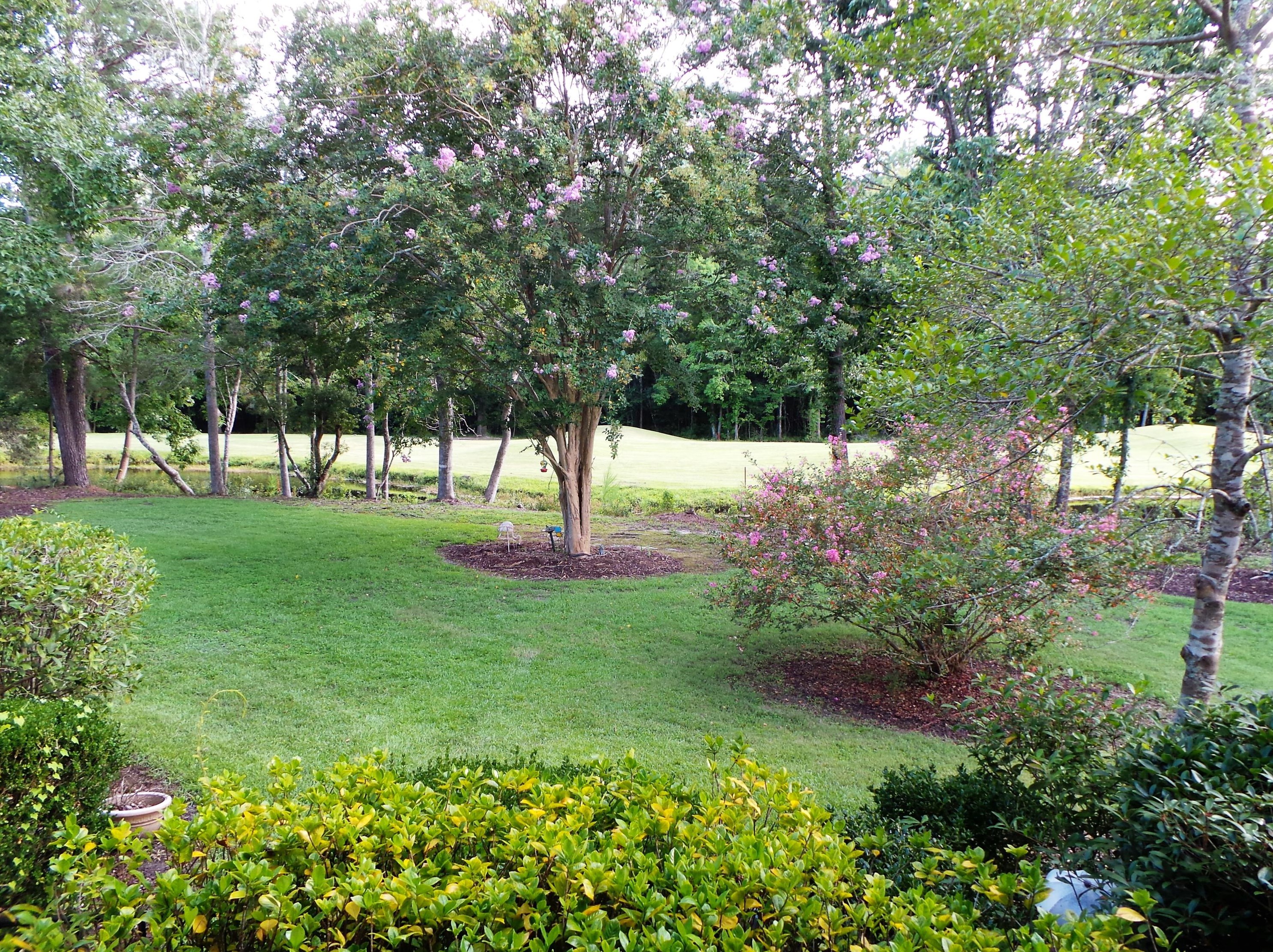 134 Welchman Ave, Charleston SC  29445-7152 exterior