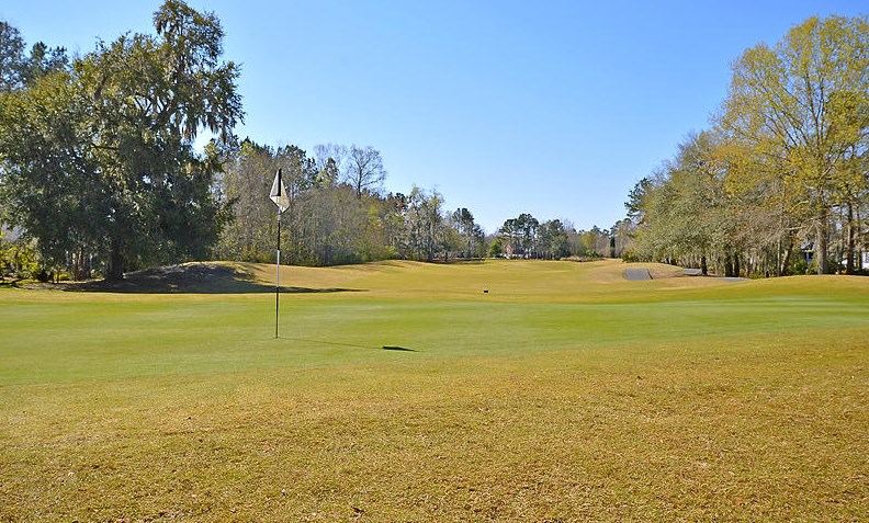 104 Old Post Cir, Charleston SC  29445-5455 exterior