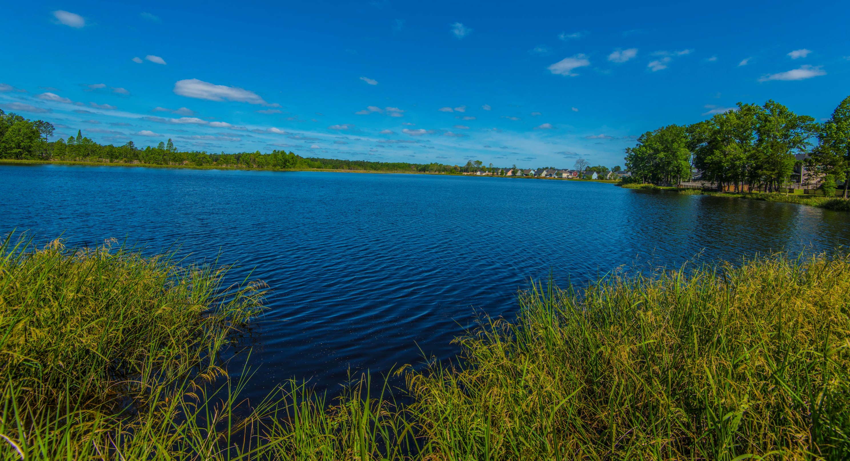 209 Red Leaf Blvd, Moncks Corner SC  29461-8881 exterior