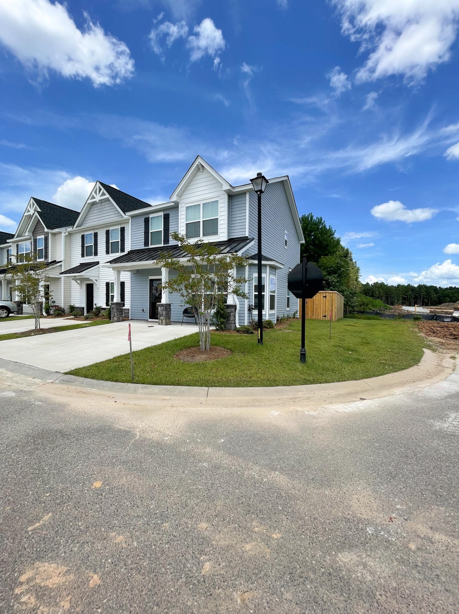 226 Swallow Tail Ln, Charleston SC  29445-3665 exterior
